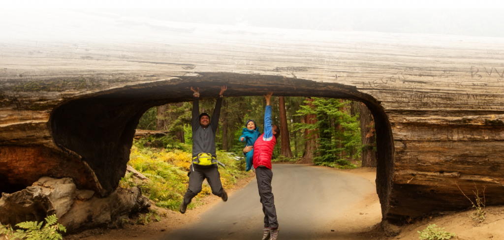 Sequoia National Park (C) Anna Dudko